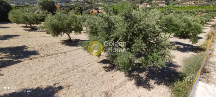 Golden Home Property Image