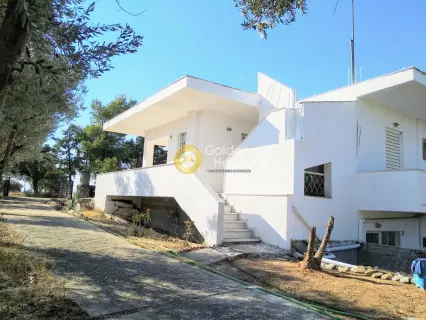House 163m<sup>2</sup> for sale photo 3