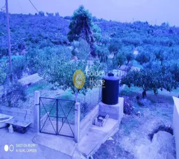 Professional Plot 4392m<sup>2</sup> for sale photo 1