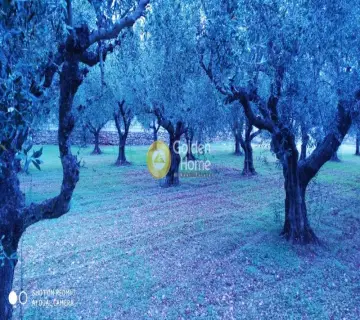 Μονοκατοικία 164τ.μ. προς πώληση φωτογραφία 54