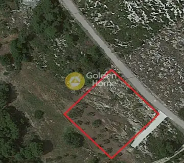 Professional Plot 1624m<sup>2</sup> for sale photo 2595055