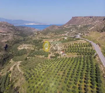 Golden Home Property Image