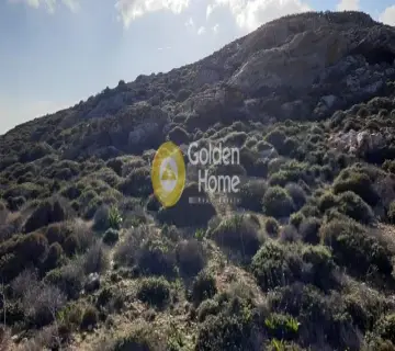 Area 13900m<sup>2</sup> for sale photo 2623108