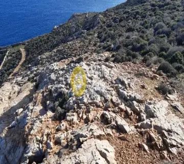 Area 13900m<sup>2</sup> for sale photo 2623114