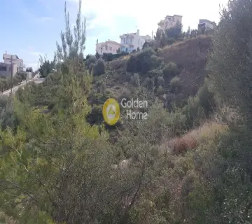 Οικιστικό 1065τ.μ. προς πώληση φωτογραφία 1
