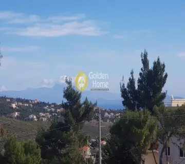 Οικιστικό 1065τ.μ. προς πώληση φωτογραφία 2