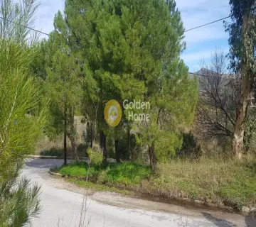 Οικιστικό 1065τ.μ. προς πώληση φωτογραφία 4
