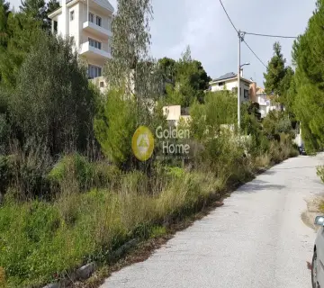 Οικιστικό 1065τ.μ. προς πώληση φωτογραφία 8