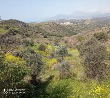 Residential 16000m<sup>2</sup> for sale photo 4