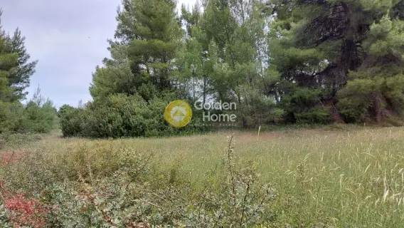 Parcel 5800m<sup>2</sup> for sale photo 2