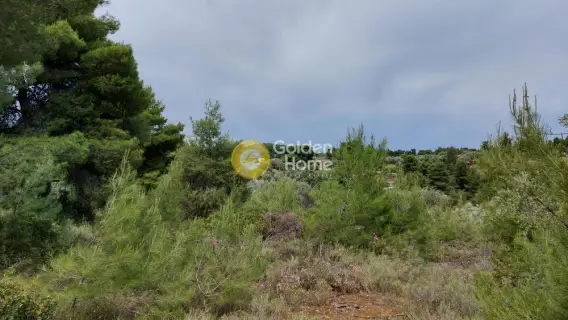 Parcel 5800m<sup>2</sup> for sale photo 5