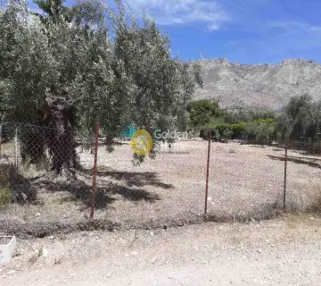 Residential 1012m<sup>2</sup> for sale photo 4