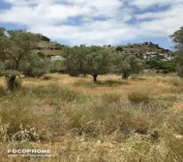 Residential 1200m<sup>2</sup> for sale photo 6