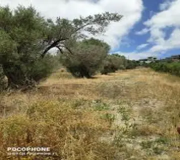 Residential 1200m<sup>2</sup> for sale photo 9