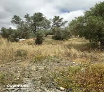 Residential 1200m<sup>2</sup> for sale photo 8