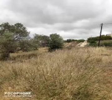Residential 1200m<sup>2</sup> for sale photo 7