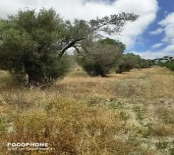 Residential 1200m<sup>2</sup> for sale photo 13
