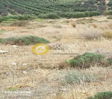 Area 4030m<sup>2</sup> for sale photo 3