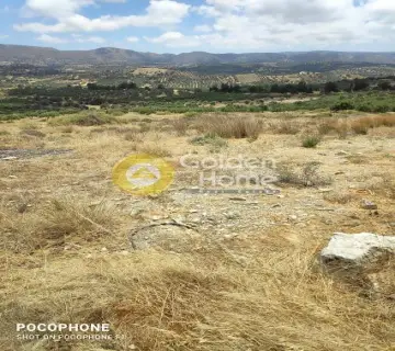 Area 4030m<sup>2</sup> for sale photo 6