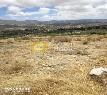 Area 4030m<sup>2</sup> for sale photo 8