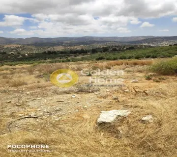 Area 4030m<sup>2</sup> for sale photo 9