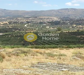 Area 4030m<sup>2</sup> for sale photo 15