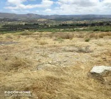 Residential 2525m<sup>2</sup> for sale photo 5