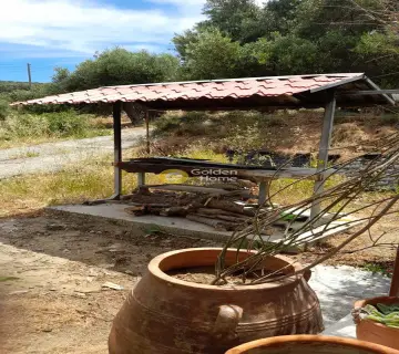 Golden Home Property Image