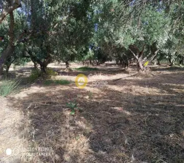 Residential 7800m<sup>2</sup> for sale photo 1