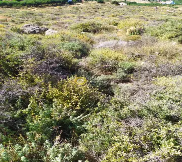 Residential 9295m<sup>2</sup> for sale photo 7