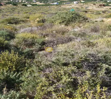 Residential 9295m<sup>2</sup> for sale photo 10