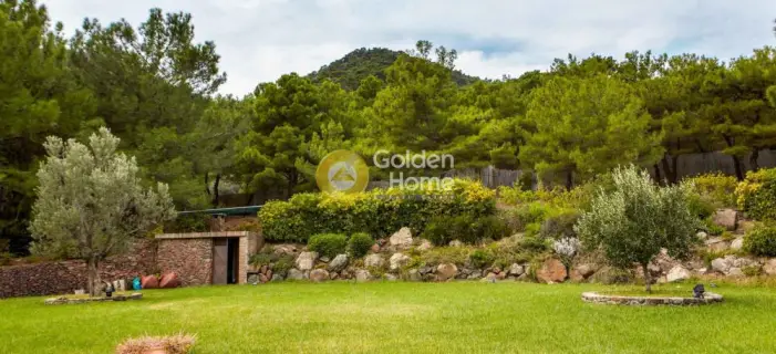 House 300m<sup>2</sup> for sale photo 2623777