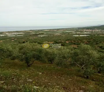 土地 8166m<sup>2</sup> for sale photo 17