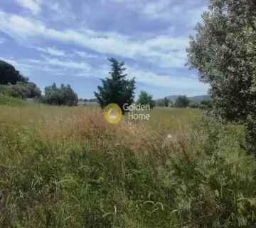 Residential 4912m<sup>2</sup> for sale photo 2612538