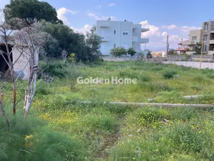 Οικιστικό 1367τ.μ. προς πώληση φωτογραφία 5368049