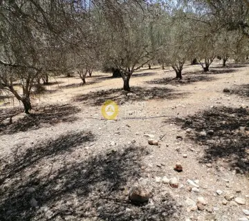 Residential 5000m<sup>2</sup> for sale photo 1