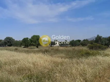 Αγροτεμάχιο 1782τ.μ. προς πώληση φωτογραφία 1