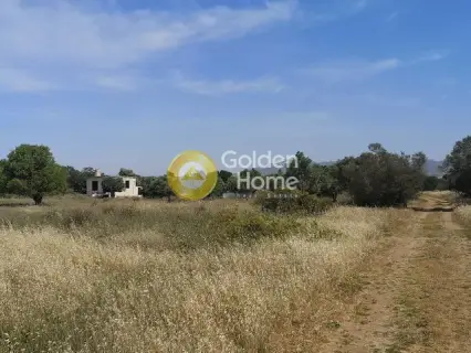 Αγροτεμάχιο 1782τ.μ. προς πώληση φωτογραφία 2