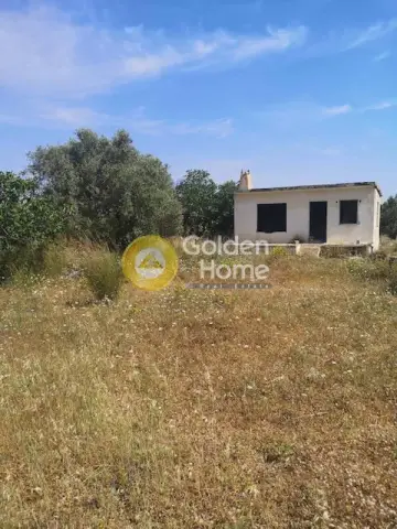 Αγροτεμάχιο 1782τ.μ. προς πώληση φωτογραφία 4