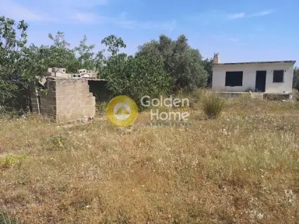 Αγροτεμάχιο 1782τ.μ. προς πώληση φωτογραφία 3