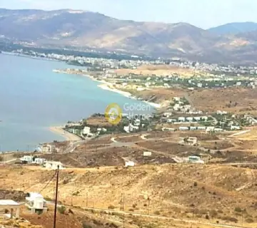 住宅 453m<sup>2</sup> for sale photo 1