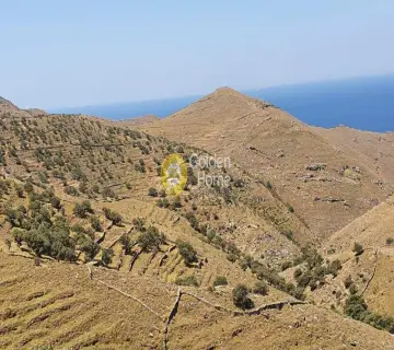 Parcel 25475m<sup>2</sup> for sale photo 2613737