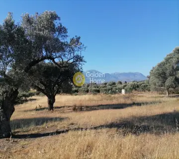 住宅 3445m<sup>2</sup> for sale photo 9