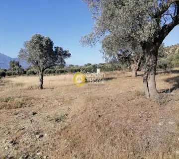 住宅 3445m<sup>2</sup> for sale photo 13