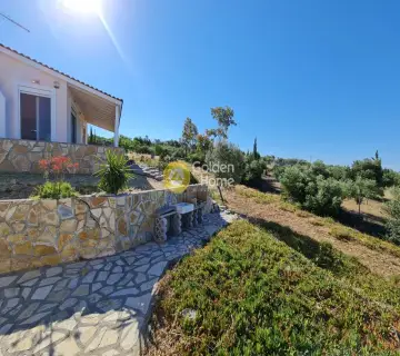 Golden Home Property Image