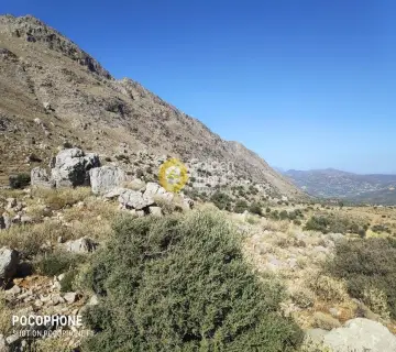 Area 251800m<sup>2</sup> for sale photo 12