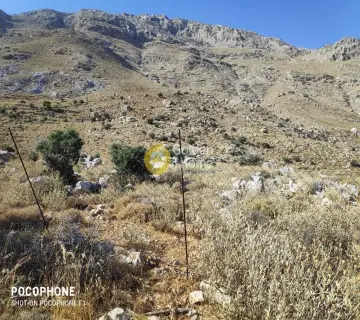 Area 251800m<sup>2</sup> for sale photo 21