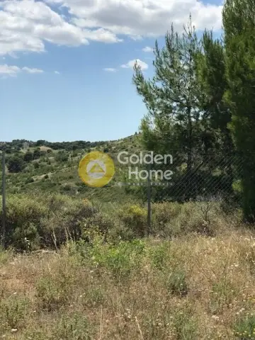 Οικιστικό 599τ.μ. προς πώληση φωτογραφία 4