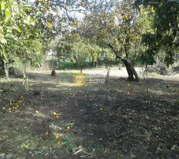Parcel 1000m<sup>2</sup> for sale photo 2623214