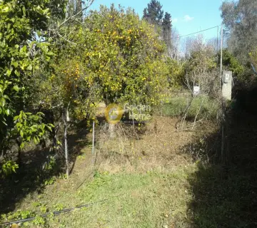 Parcel 1000m<sup>2</sup> for sale photo 2623218